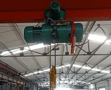 鋼絲繩電動(dòng)葫蘆在香蕉加工廠的應(yīng)用